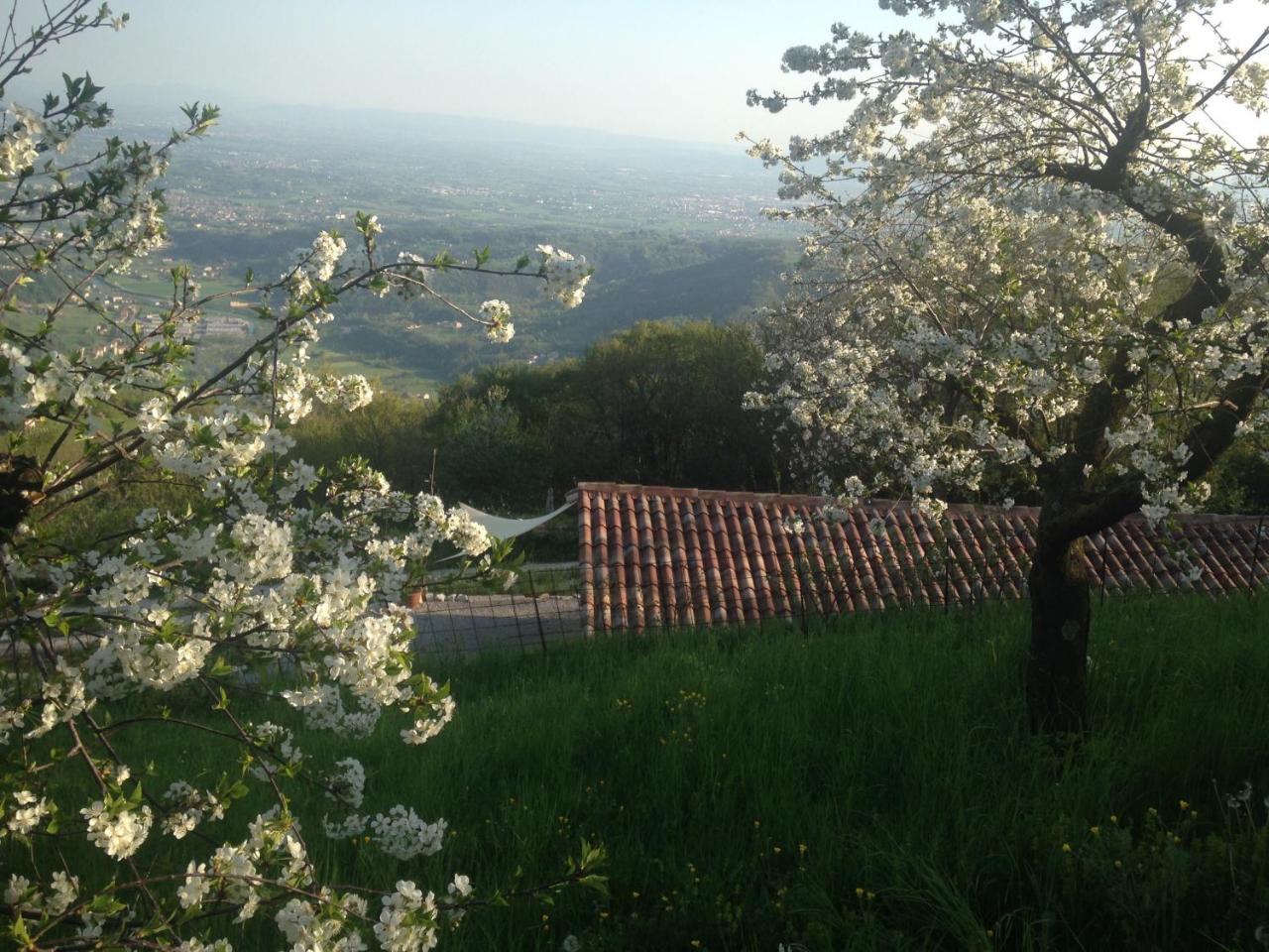Vila Calvenere Exteriér fotografie